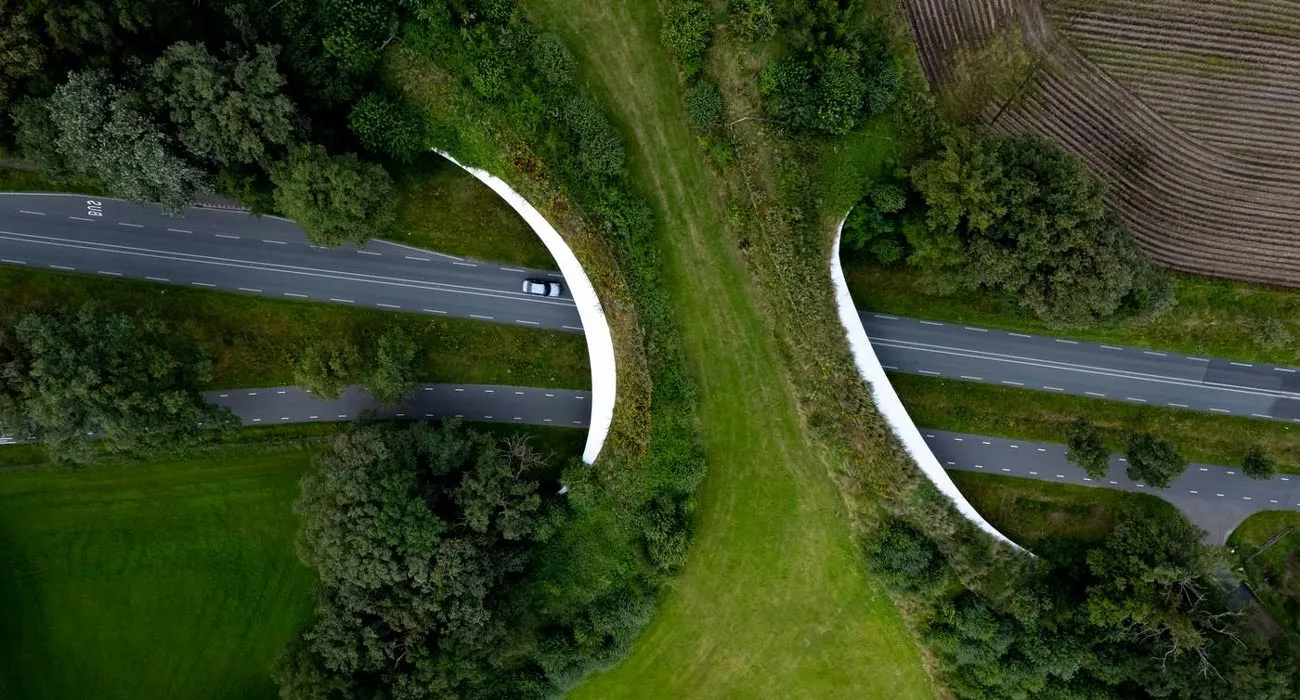 Environmental Regulations for green road construction