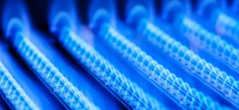Emerging fuel options-Natural Gas